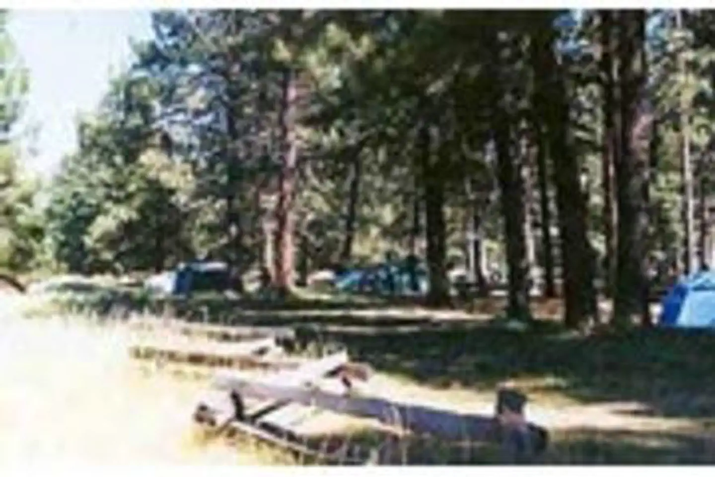 WEST EAGLE CAMPGROUND photo 5
