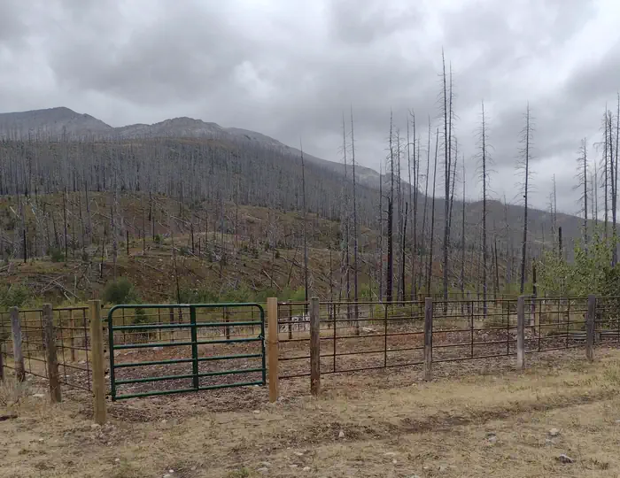 WEST FORK CABIN (W OF CHOTEAU) photo 4