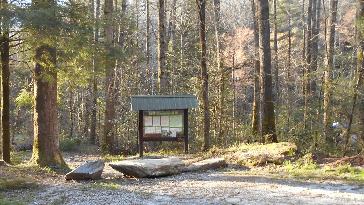 West Fork Campground  (Clayton, GA) photo