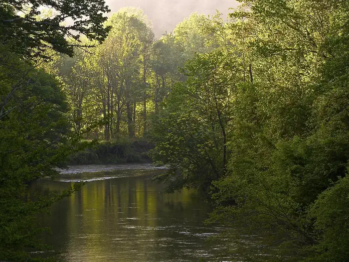 West Fork Campground  (Clayton, GA) photo 2