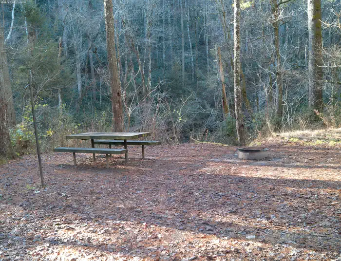 West Fork Campground  (Clayton, GA) photo 3