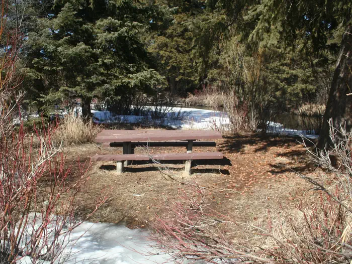 West Fork Madison Campground photo 3