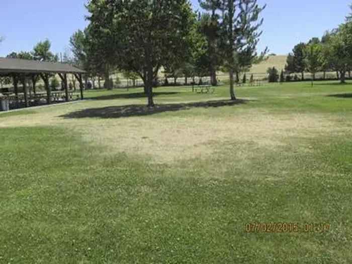 WEST PARK (OR) photo 5