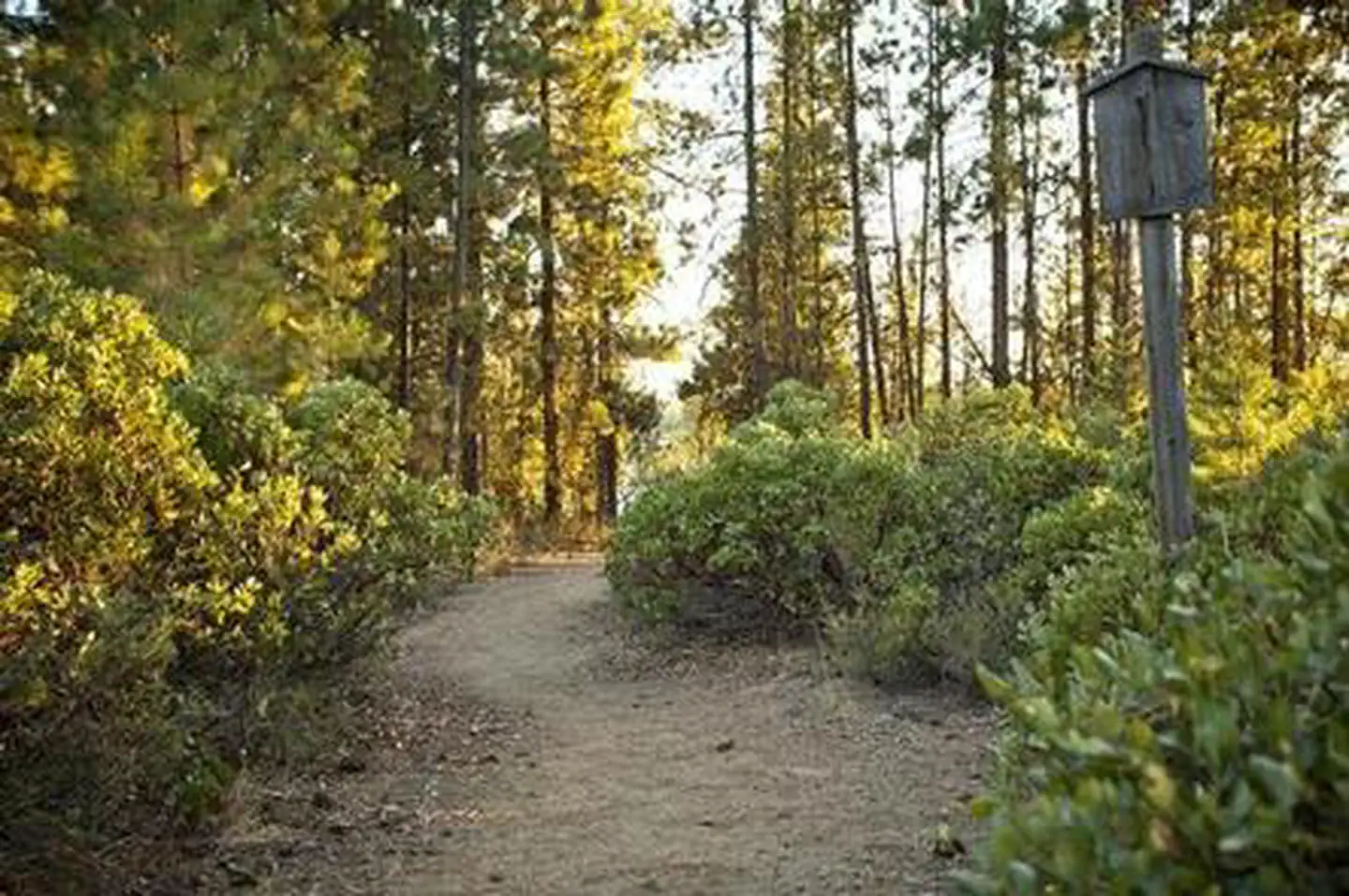 WEST SOUTH TWIN CAMPGROUND photo 4
