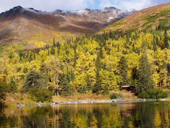 WEST SWAN LAKE CABIN photo 2