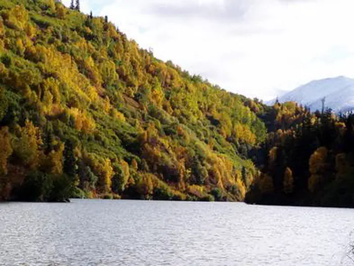 WEST SWAN LAKE CABIN photo 4