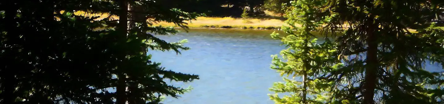 WEST TENSLEEP LAKE photo 5