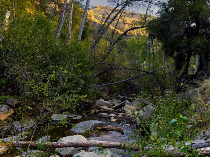 WHEELER GORGE photo 4
