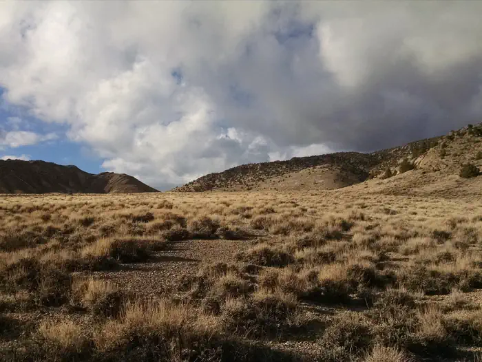Wheeler Peak Campground photo 3