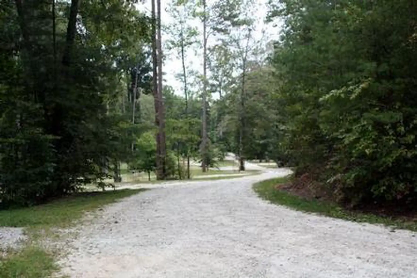 WHETSTONE HORSE CAMP photo