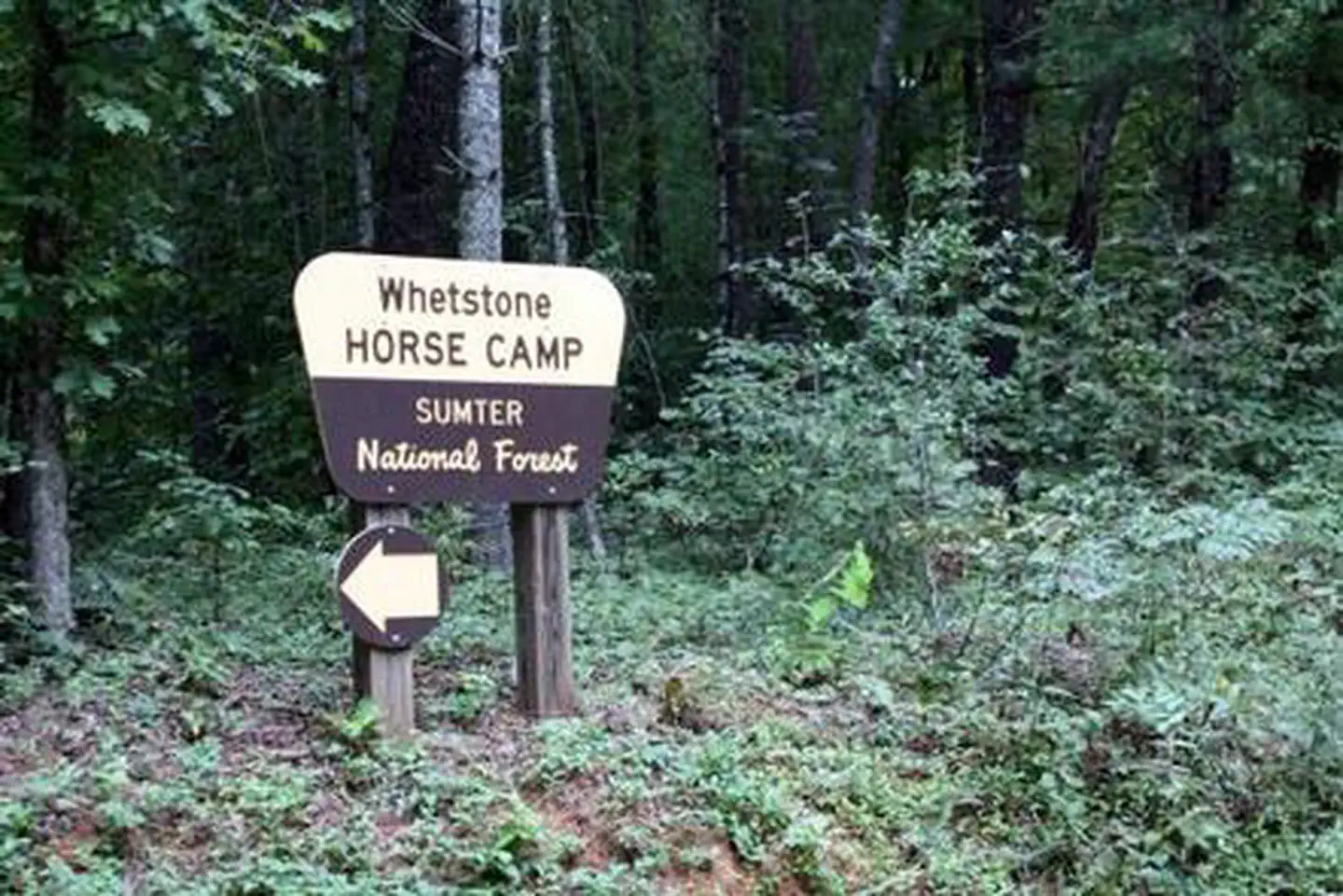 WHETSTONE HORSE CAMP photo 2