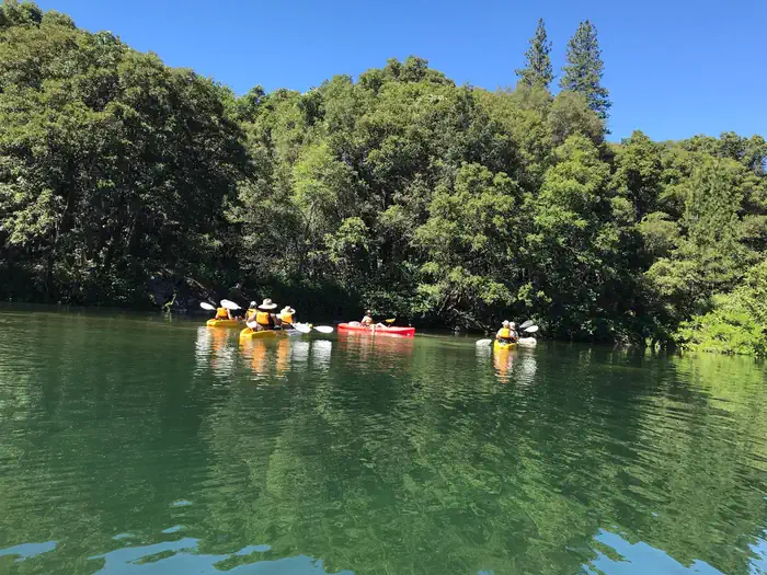 Whiskeytown National Recreation Area Ranger-Guided Kayak and Paddle Board Tours photo 4