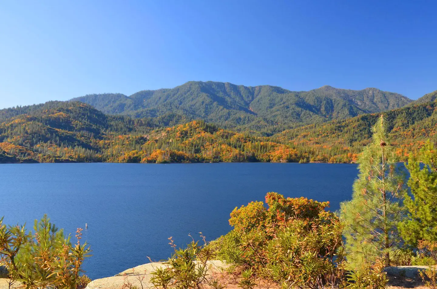 Whiskeytown National Recreation Area Ranger-Guided Kayak and Paddle Board Tours photo 5