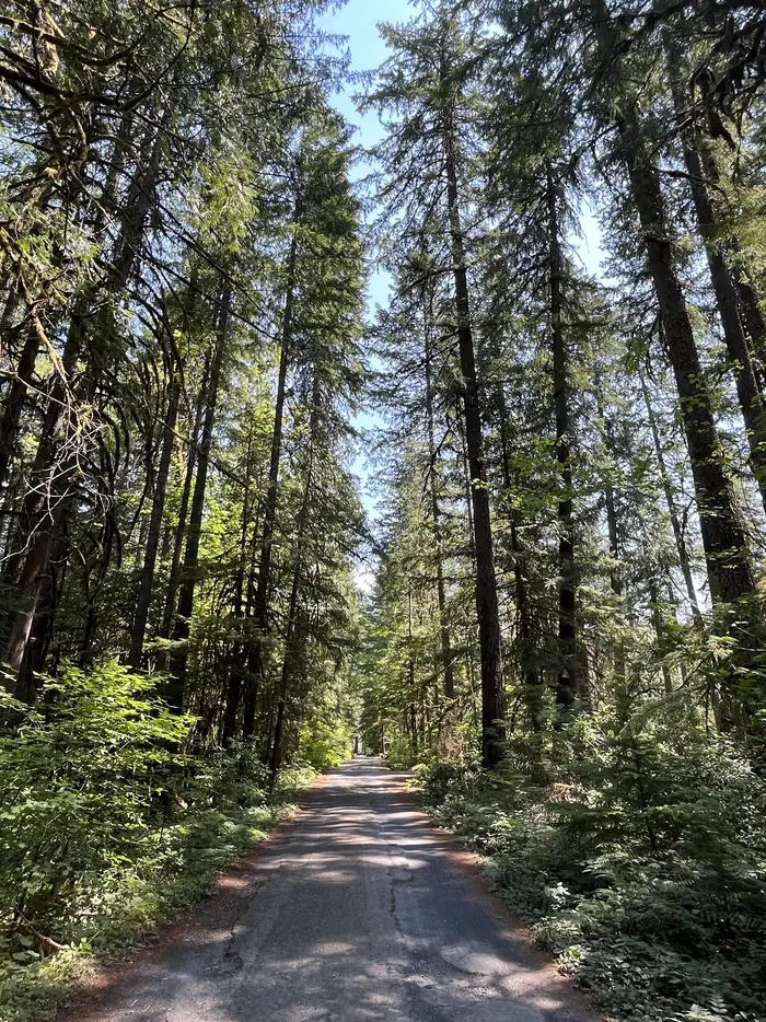 WHISPERING FALLS CAMPGROUND photo 3