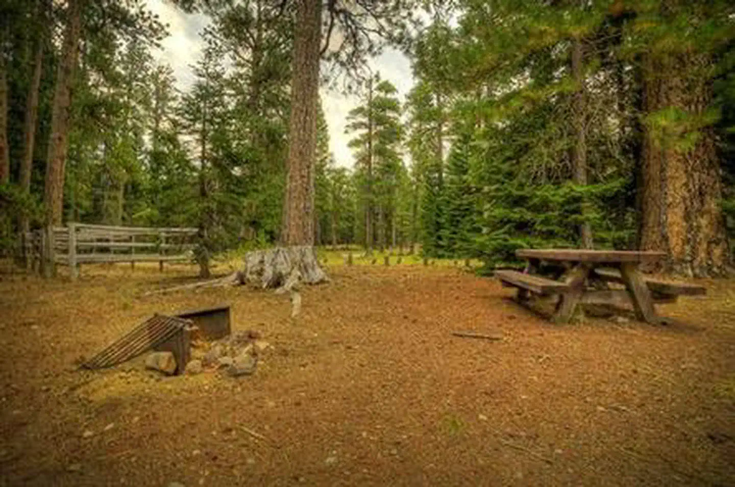 Whispering Pines Horse Camp photo 2