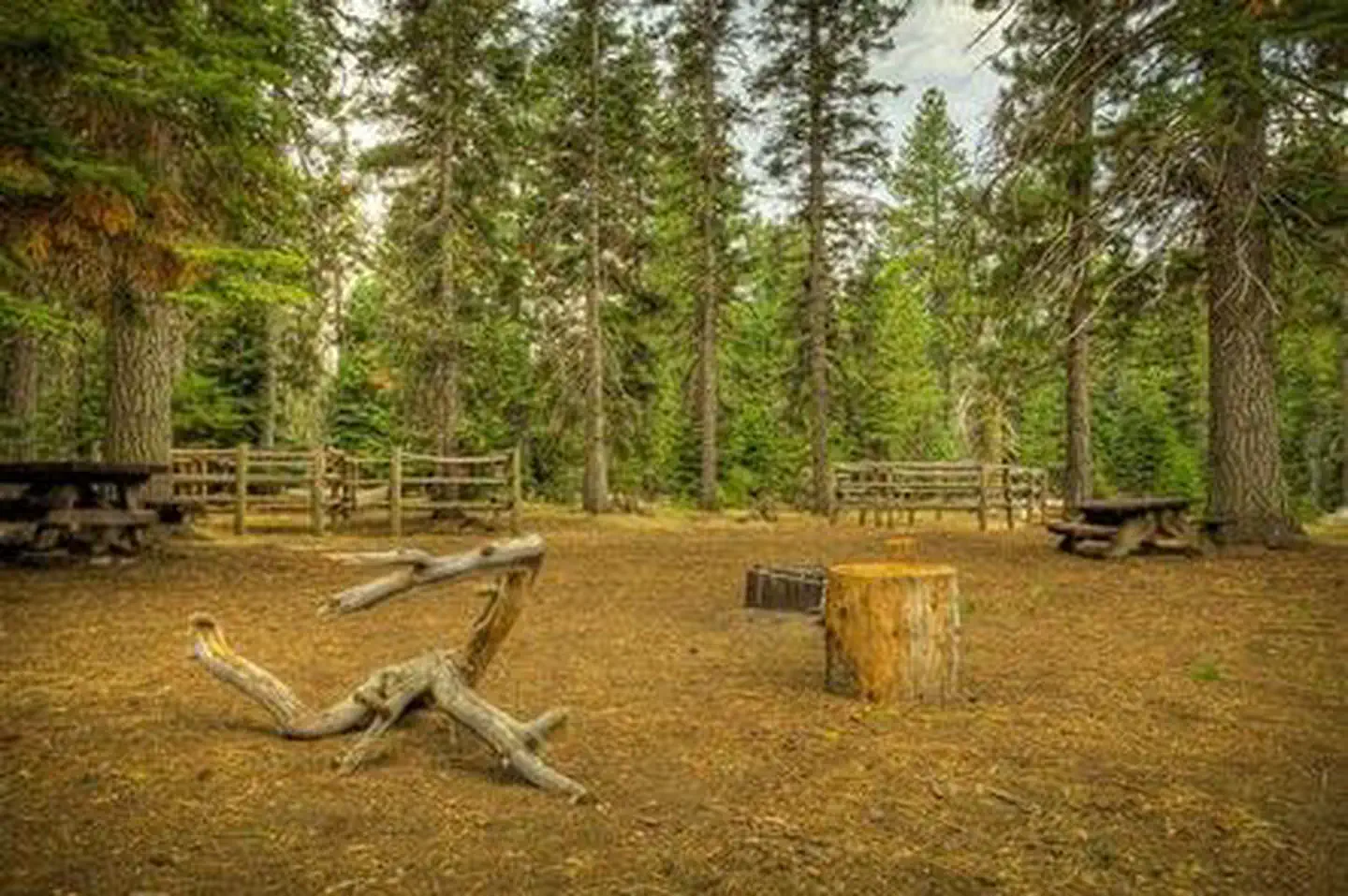 Whispering Pines Horse Camp photo 3