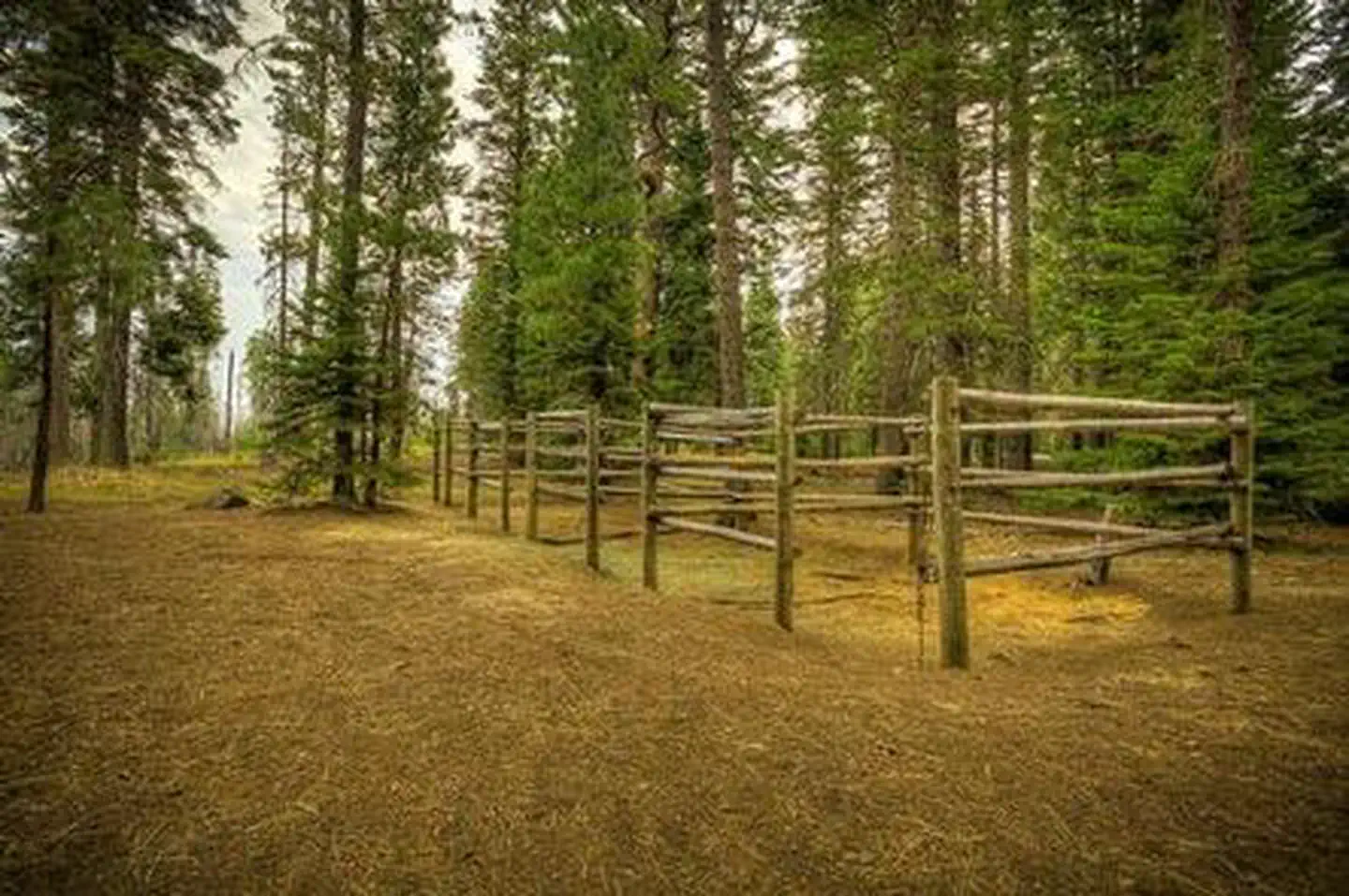 Whispering Pines Horse Camp photo 5