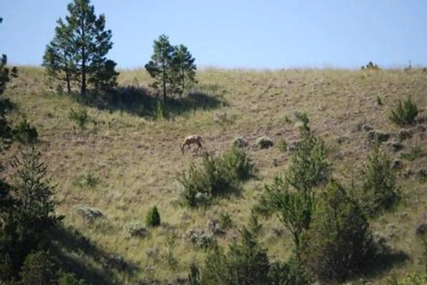 White Earth Campground photo 3