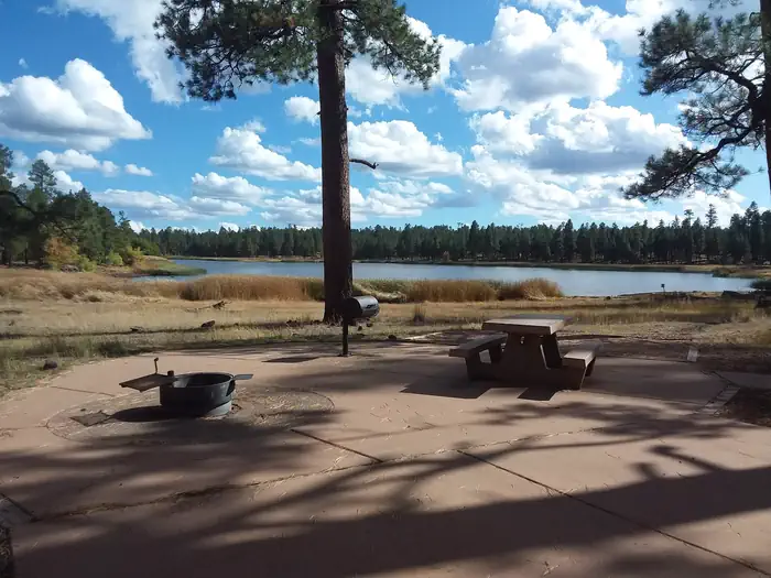 WHITE HORSE LAKE Campground photo 5