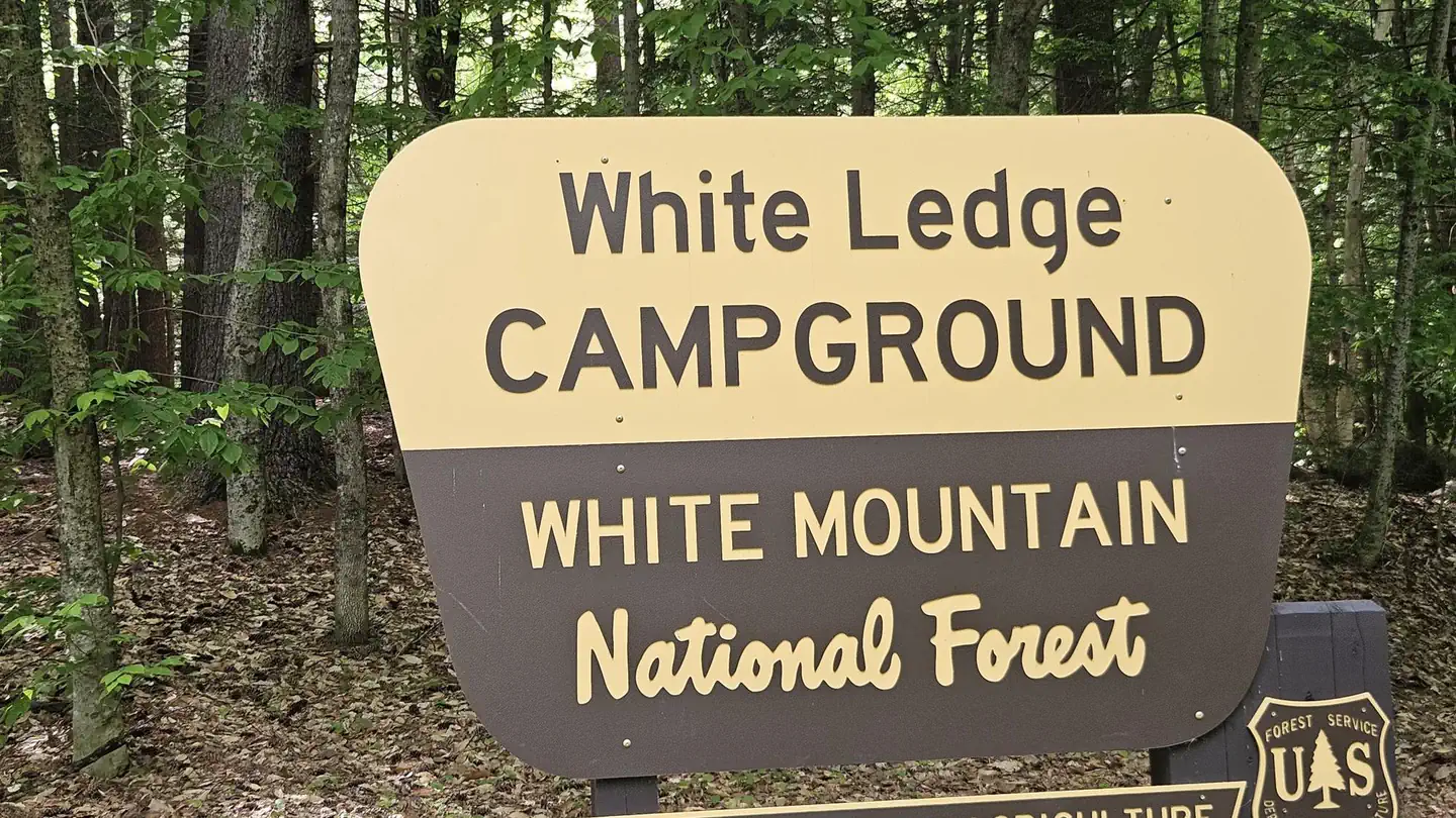 WHITE LEDGE CAMPGROUND photo