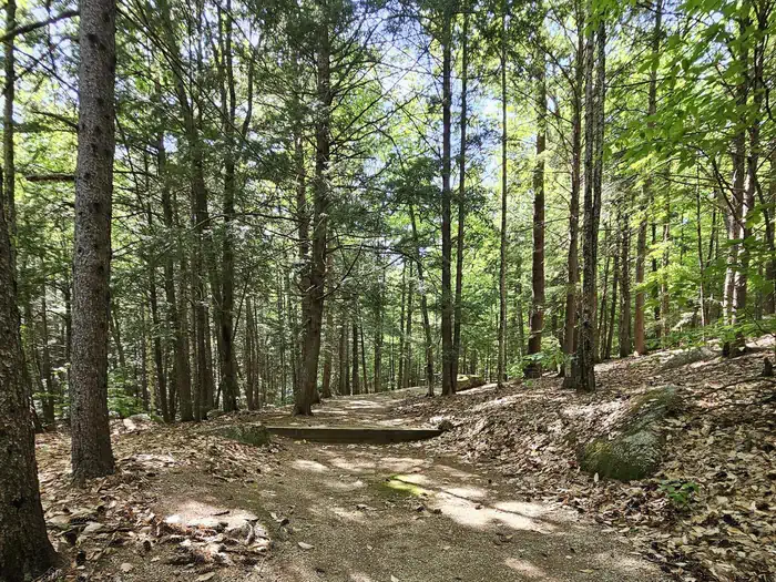 WHITE LEDGE CAMPGROUND photo 2