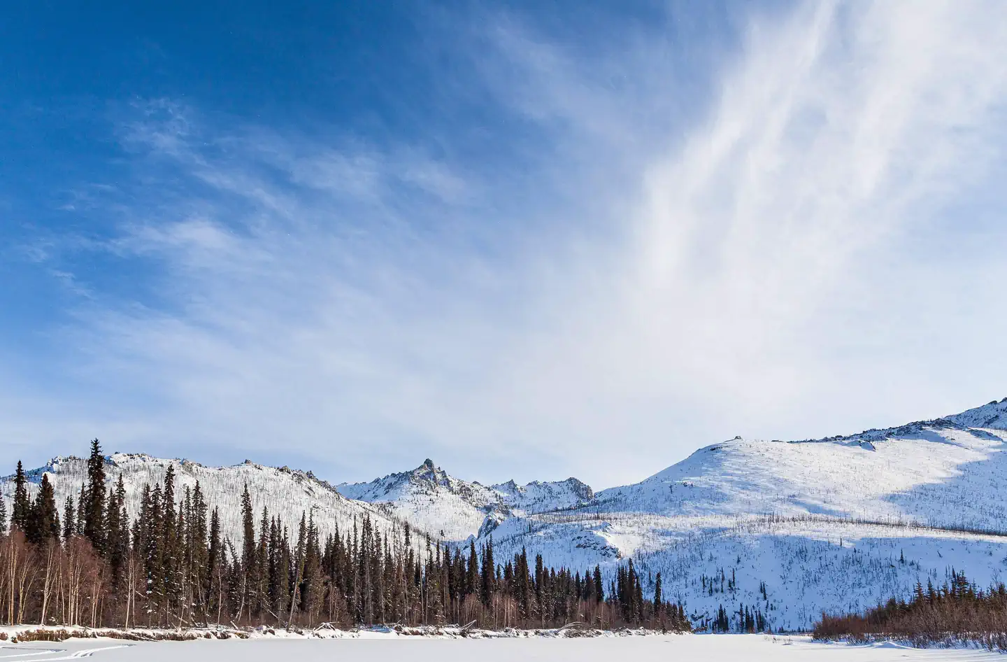 White Mountains National Recreation Area - Alaska Cabins photo 4