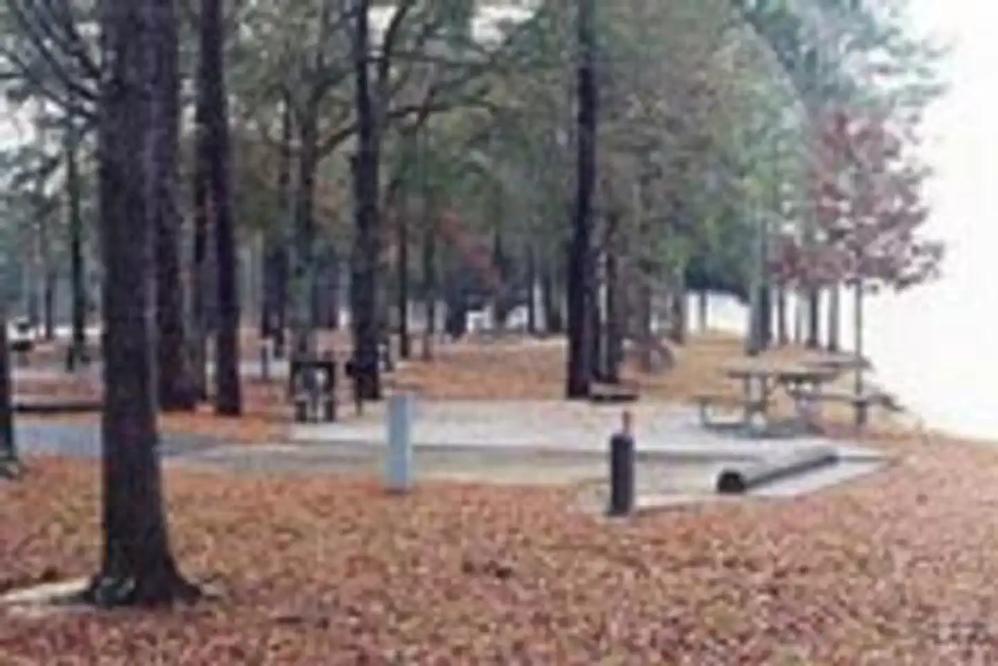 WHITE OAK (CREEK) CAMPGROUND photo 3