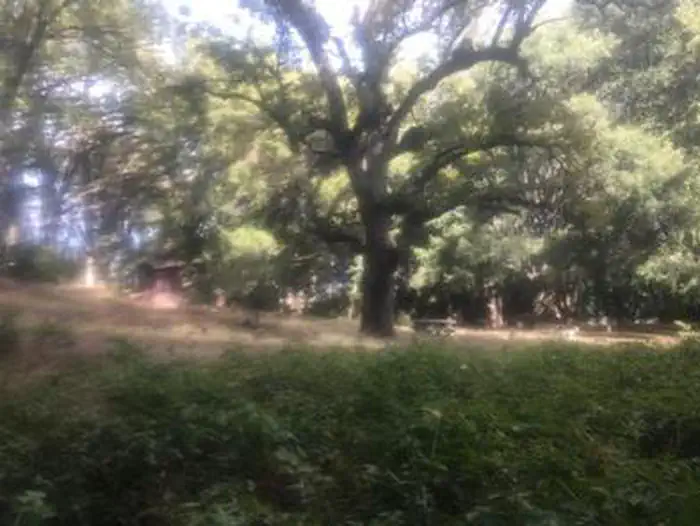 WHITE OAKS CAMPGROUND photo