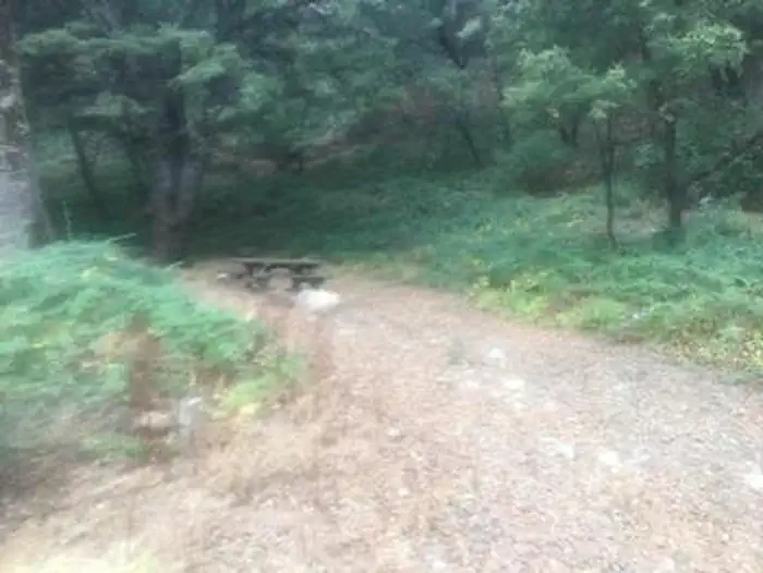 WHITE OAKS CAMPGROUND photo 3