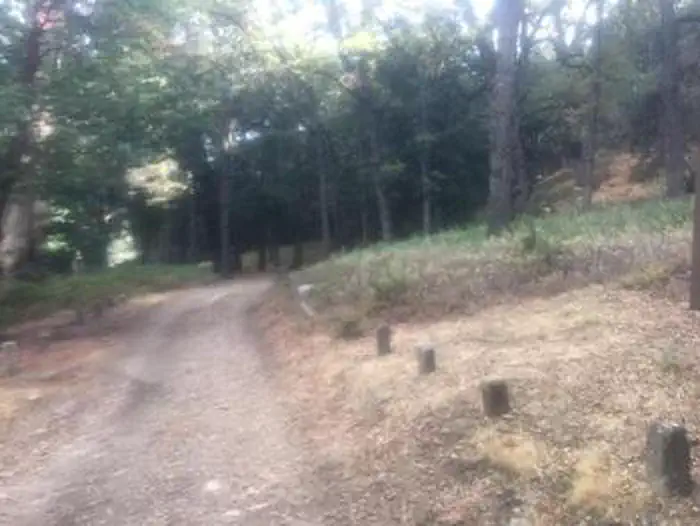 WHITE OAKS CAMPGROUND photo 5