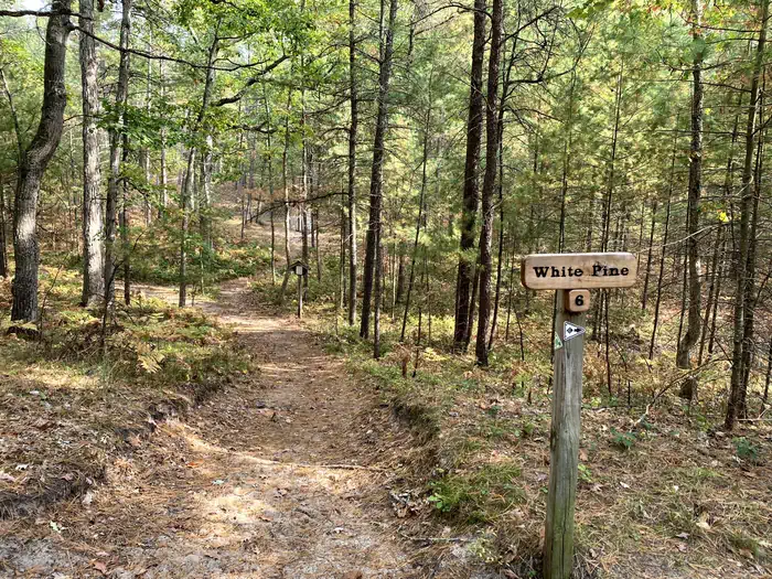 White Pine Backcountry Campground Permits photo 3