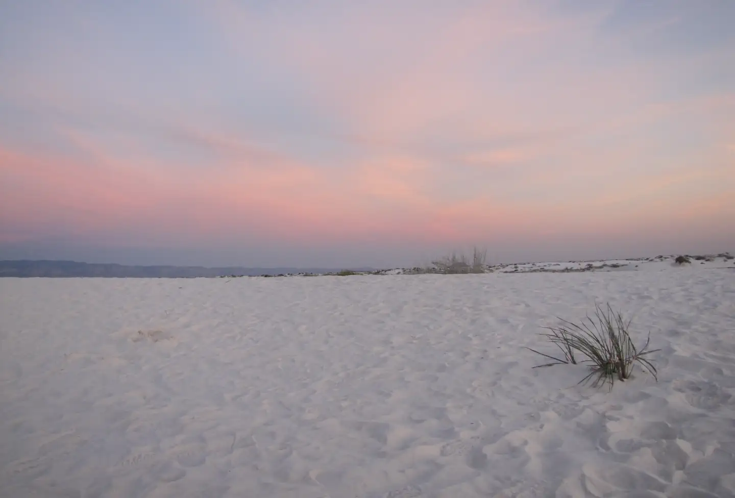 White Sands National Park Tours photo 4