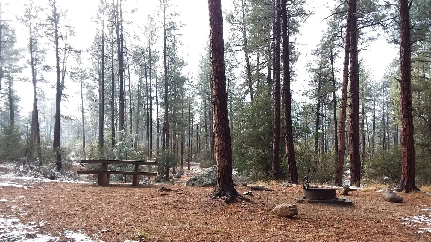 WHITE SPAR CAMPGROUND photo