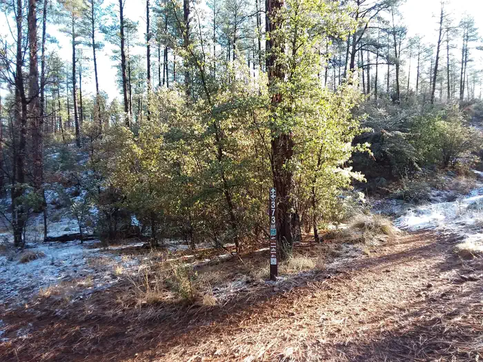 WHITE SPAR CAMPGROUND photo 3