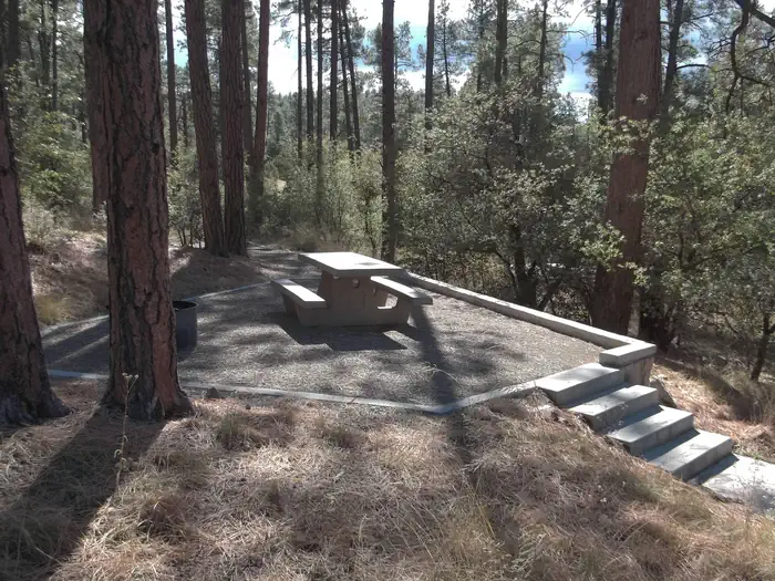 WHITE SPAR CAMPGROUND photo 5