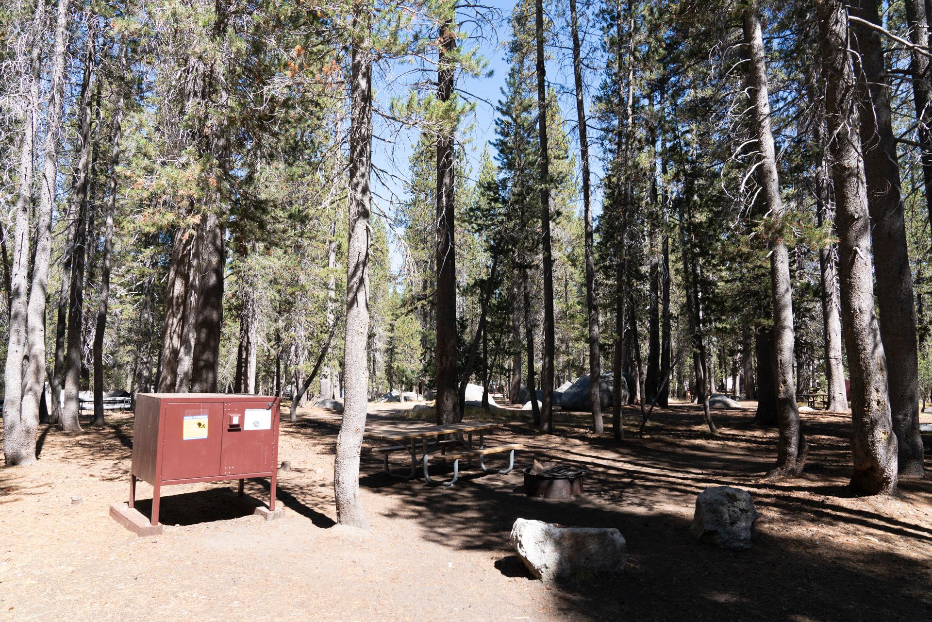 White Wolf Campground photo