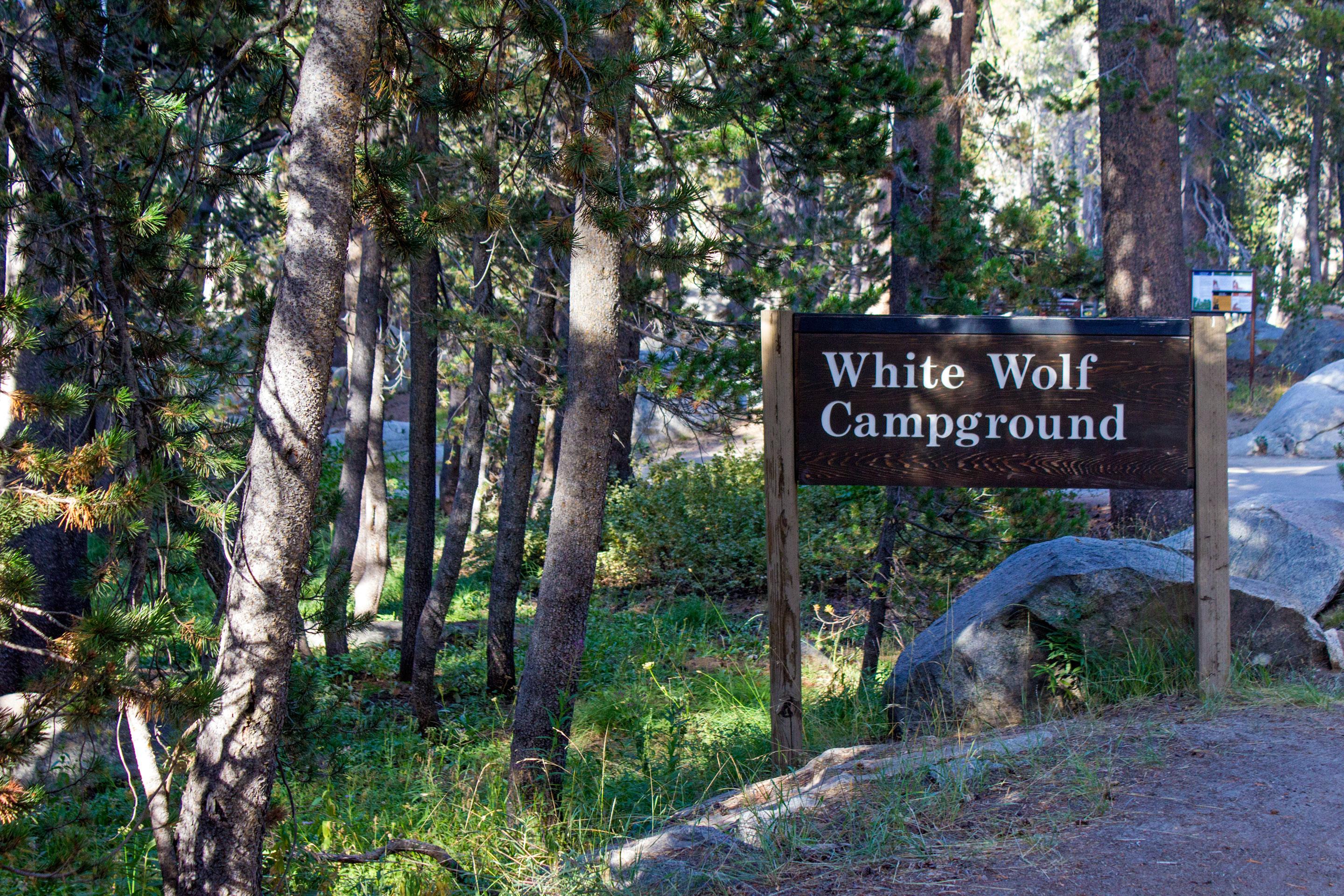 White Wolf Campground photo 5