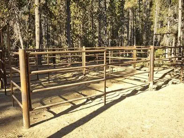 WHITEFISH HORSE CAMP photo