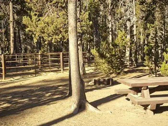WHITEFISH HORSE CAMP photo 3
