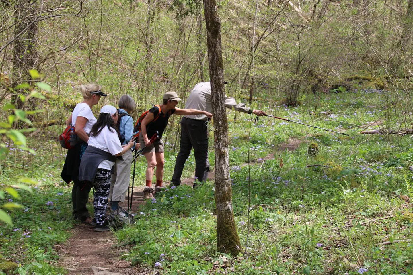 Whiteoak Sink Group Hiking Permits photo 5