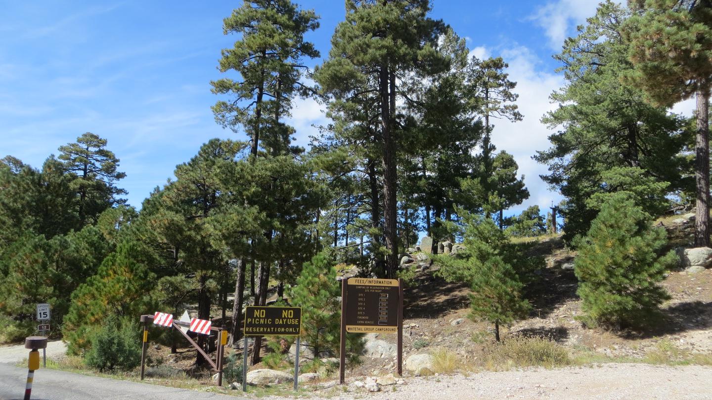 WHITETAIL CAMPGROUND photo
