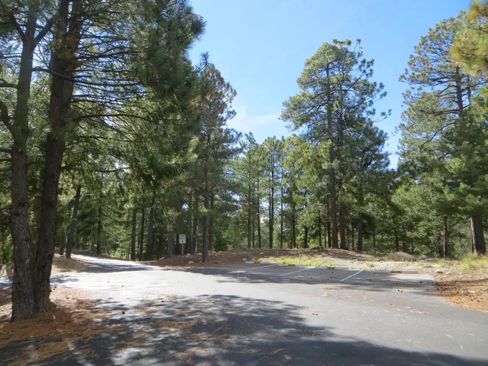 WHITETAIL CAMPGROUND photo 2