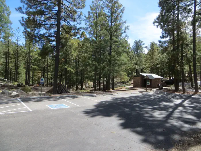 WHITETAIL CAMPGROUND photo 3