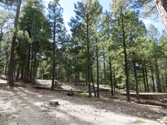 WHITETAIL CAMPGROUND photo 4