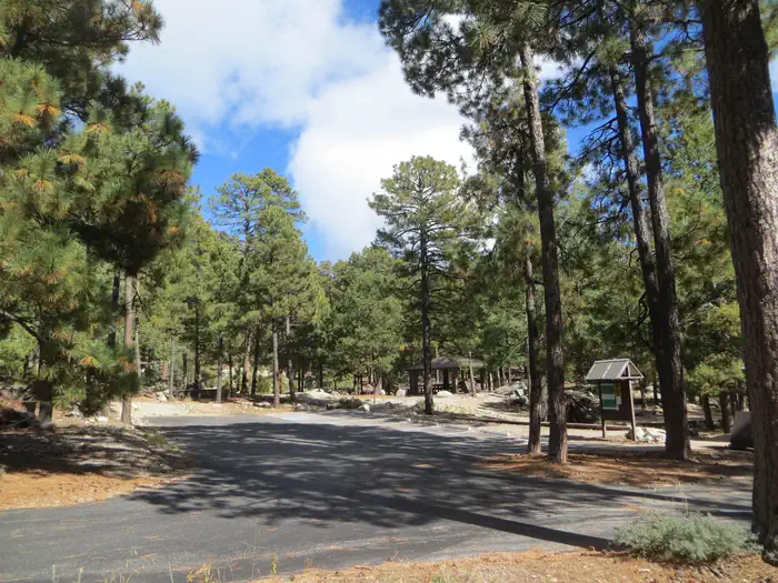 WHITETAIL CAMPGROUND photo 5
