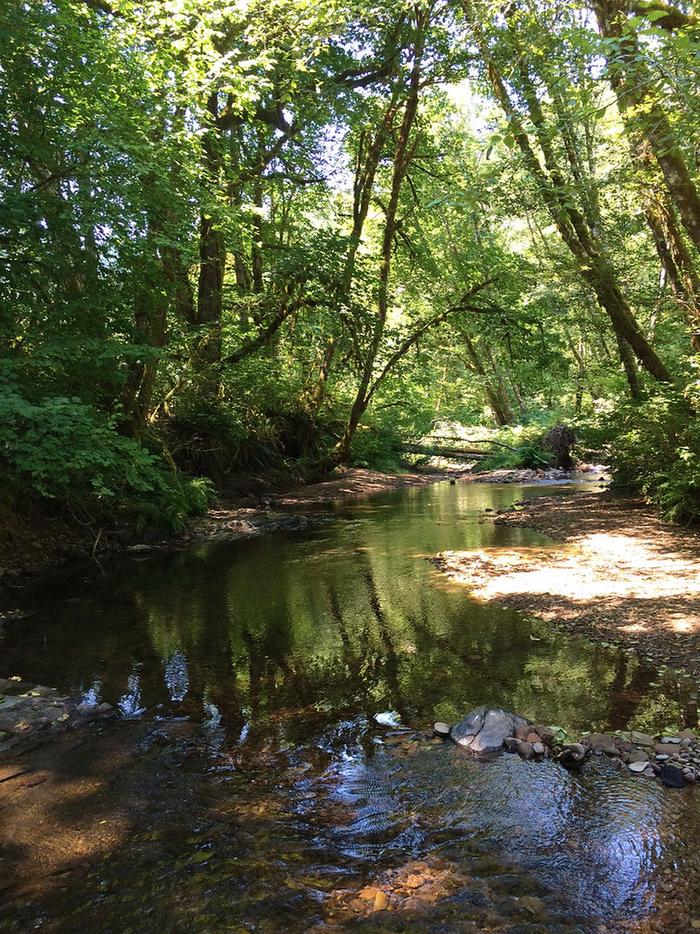 Whittaker Creek Recreation Site photo
