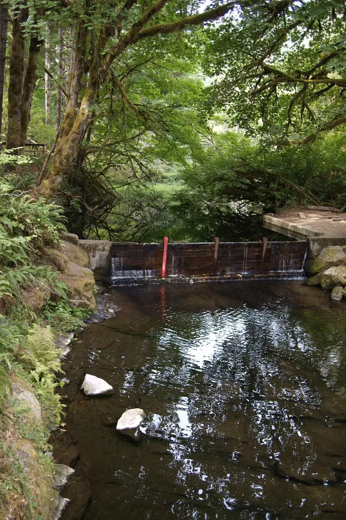 Whittaker Creek Recreation Site photo 5