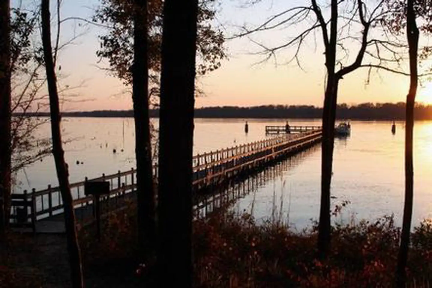 WHITTEN PARK photo 2