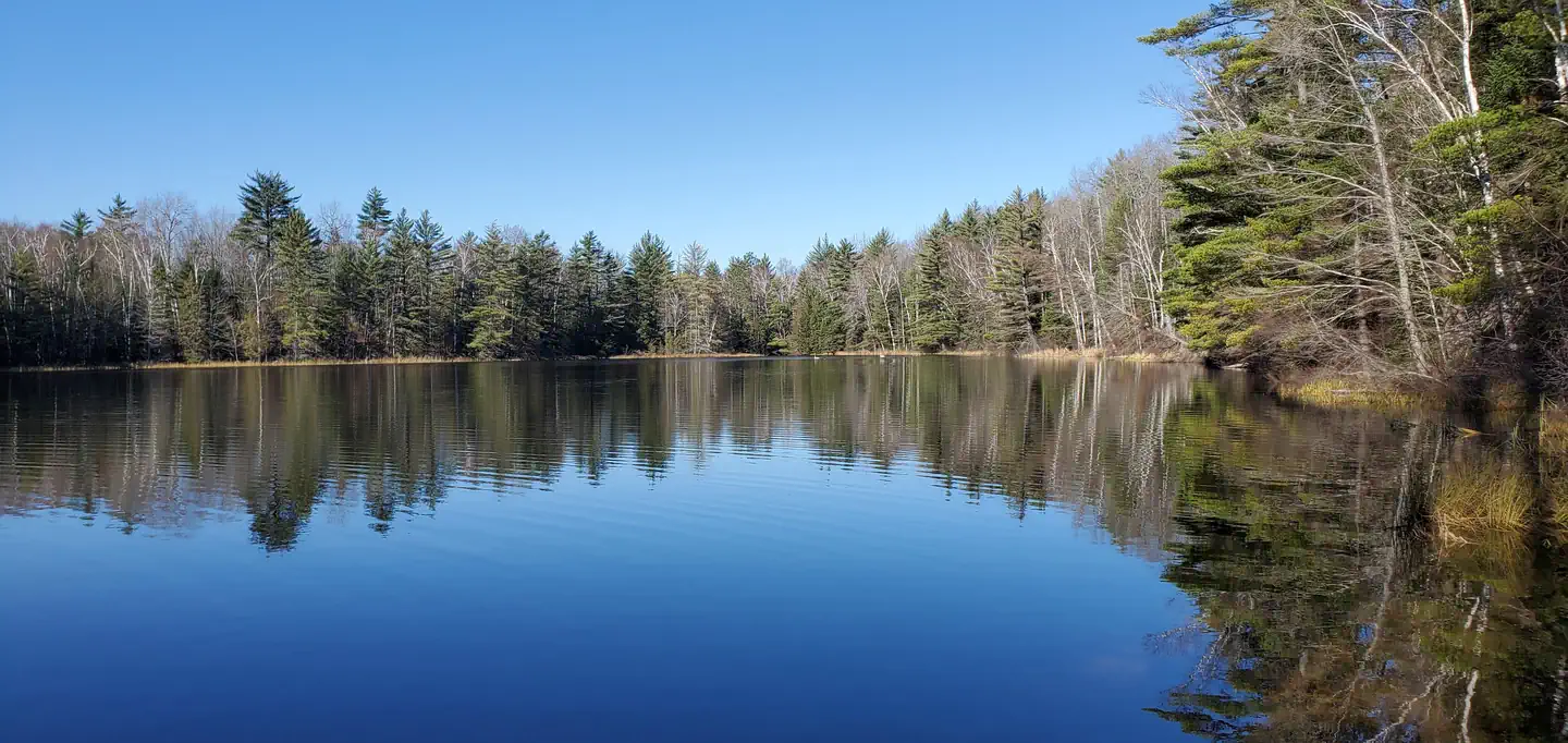 WIDEWATERS CAMPGROUND photo 2