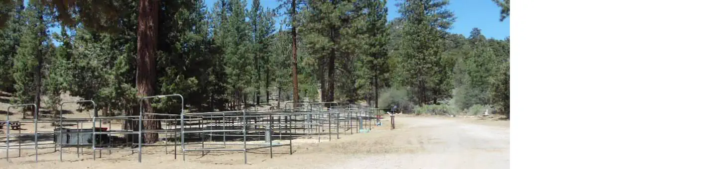 WILD HORSE EQUESTRIAN FAMILY photo